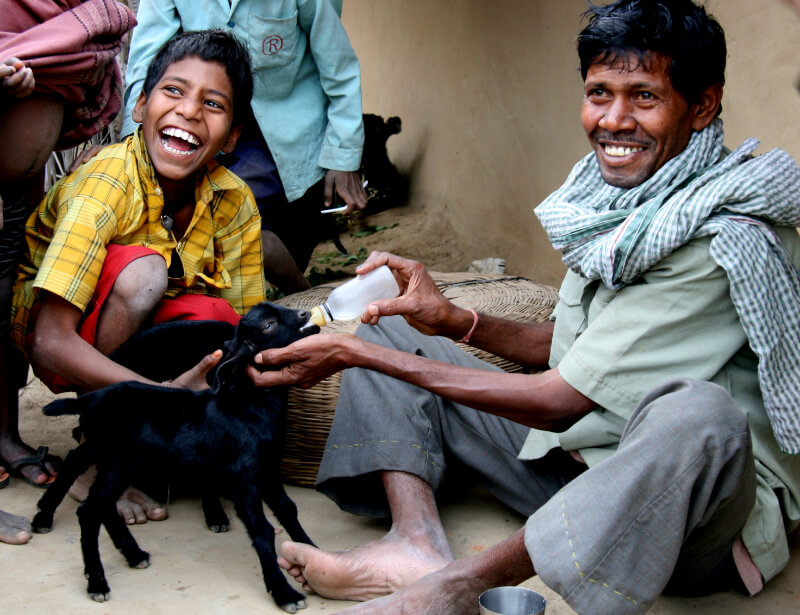 Yoga Indien lustig